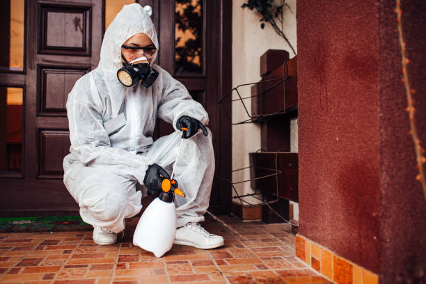 Reliable Mosquito Control contractor in Richfield Springs, NY by Show Me Pest Control